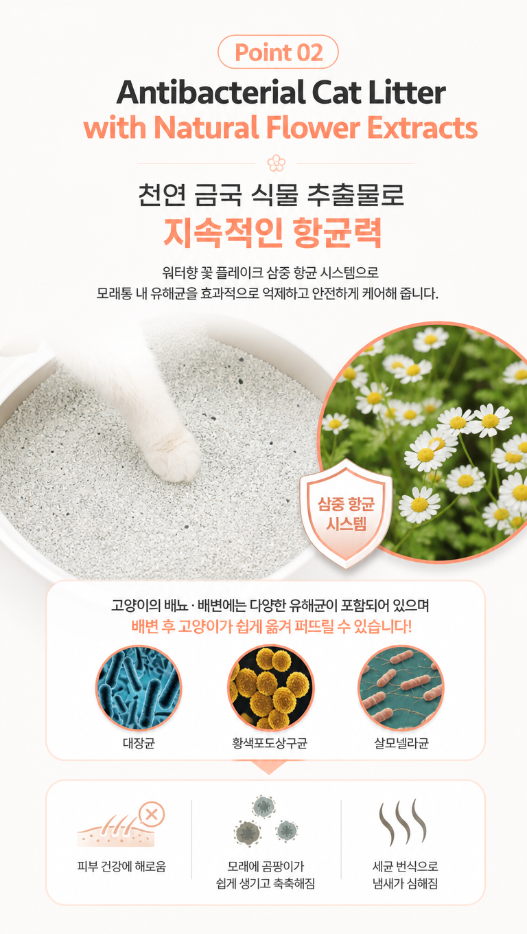 给这张猫砂产品韩国详情卖点页做些设计改变,让他更符合韩国详情页的风格,文案:1.Point 02
2.Antibacterial Cat Litter with Natural Flower Extracts
3.천연 금국 식물 추출물로
지속적인 항균력
4.워터향 꽃 플레이크 삼중 항균 시스템으로
모래통 내 유해균을 효과적으로 억제하고 안전하게 케어해 줍니다.
5.고양이의 배뇨·배변에는 다양한 유해균이 포함되어 있으며
배변 후 고양이가 쉽게 옮겨 퍼뜨릴 수 있습니다!
6.대장균
7.황색포도상구균
8.살모넬라균
9.피부 건강에 해로움
10.모래에 곰팡이가 쉽게 생기고 축축해짐
11.세균 번식으로 냄새가 심해짐