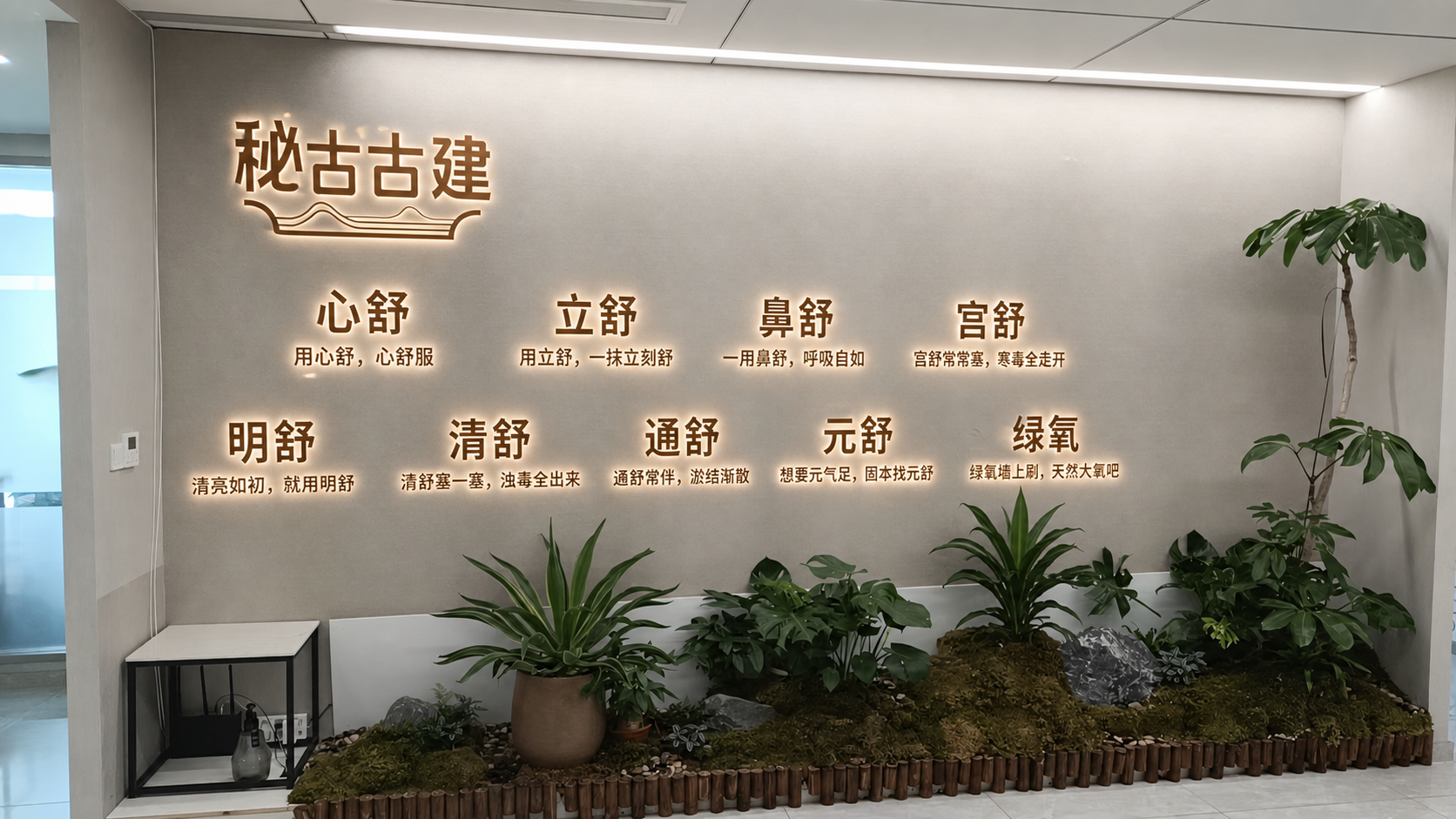参考第三张图的效果,在第二张图上做出效果,logo为第一张图,文字内容用logo色,需要有发光的效果,内容为心舒(用心舒,心舒服)
立舒(用立舒,一抹立刻舒)
鼻舒(一用鼻舒,呼吸自如)
宫舒(宫舒常常塞,寒毒全走开)
明舒(清亮如初,就用明舒)
清舒(清舒塞一塞,浊毒全出来)
通舒(通舒常伴,淤结渐散)
元舒(想要元气足,固本找元舒)
绿氧(绿氧墙上刷,天然大氧吧)