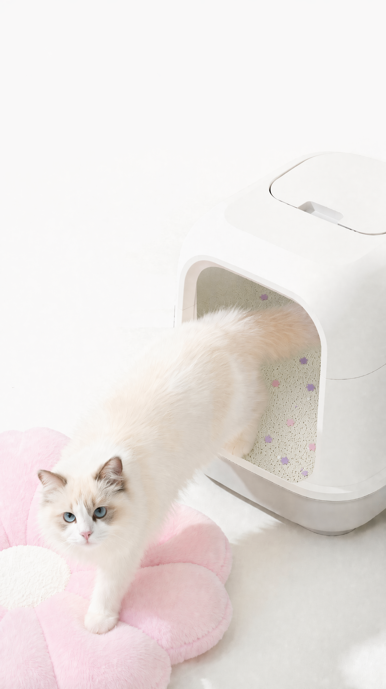 猫砂盆里的变成图2的，不要改变图2内容的