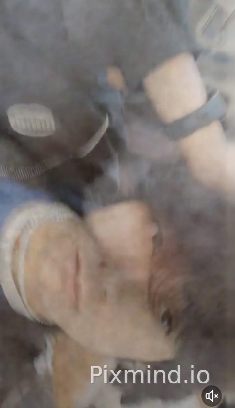 decompose this image into layers
