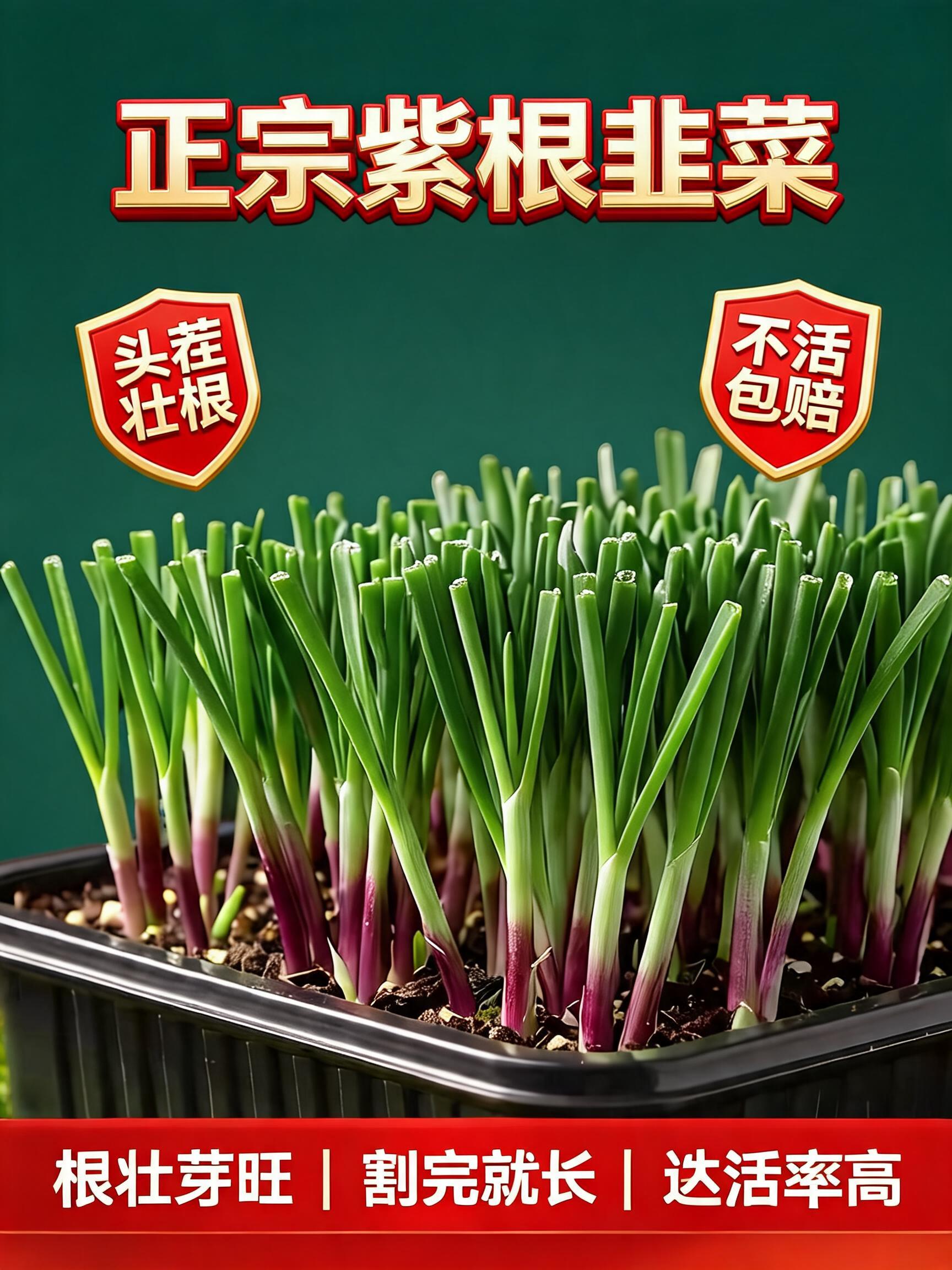 A premium professional 3:4 agricultural e-commerce main product cover poster. In the center, a highly detailed close-up shot…