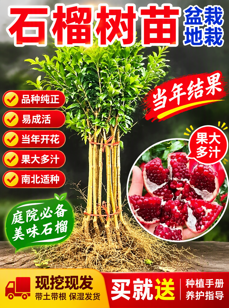 帮我做一张电商专用主图尺寸3比4，加点卖点词