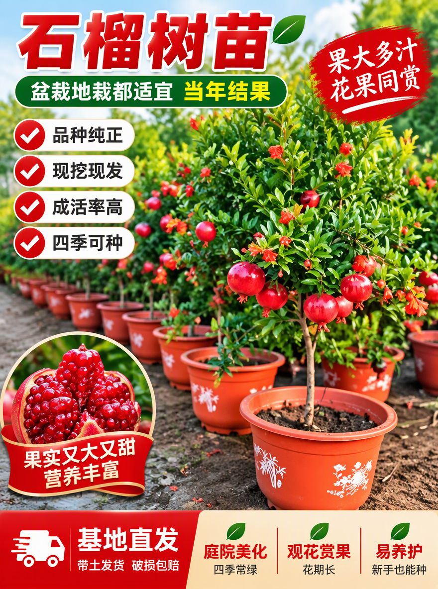 帮我做一张电商专用主图尺寸3比4，加点卖点词