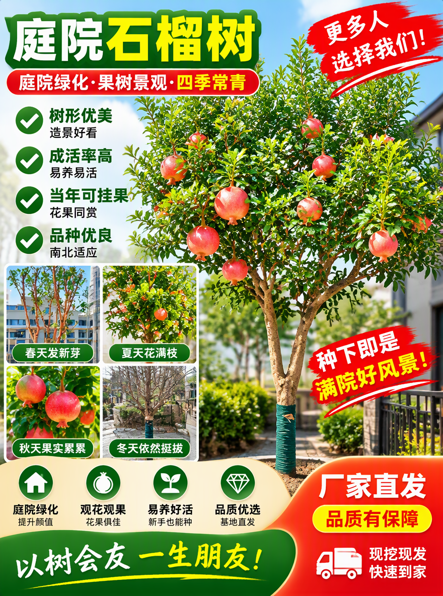 帮我做一张电商专用主图尺寸3比4，加点卖点词