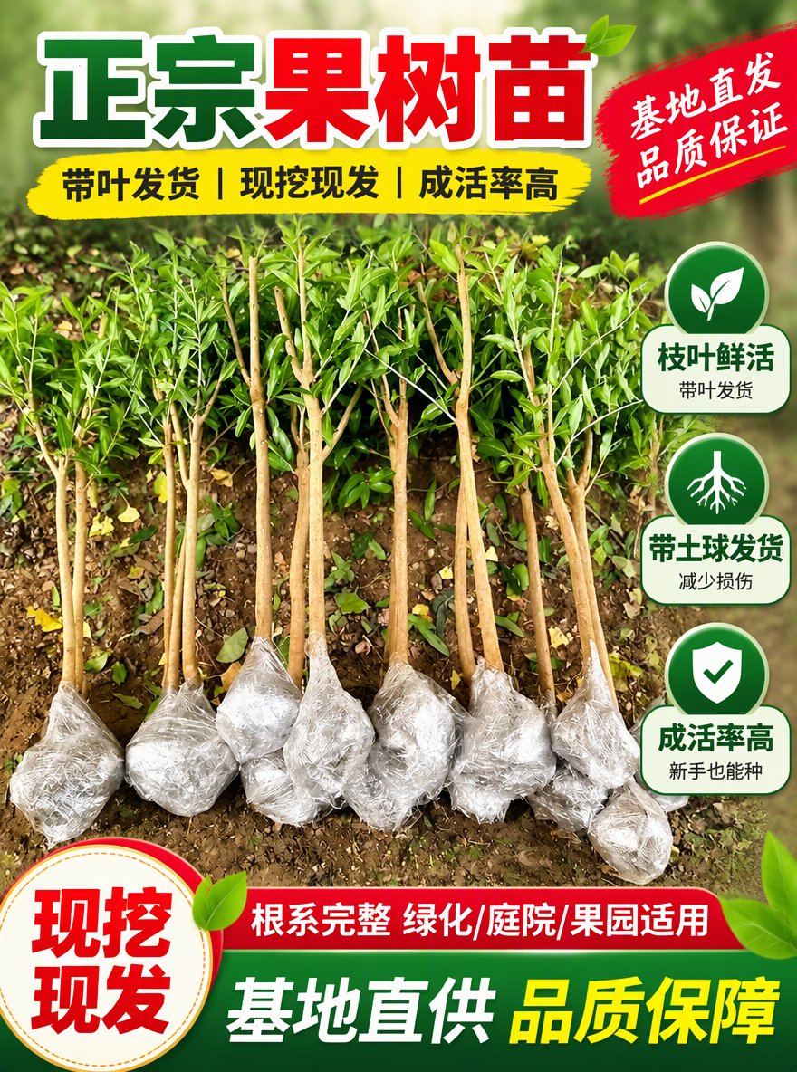 帮我做一张电商专用主图尺寸3比4，加点卖点词