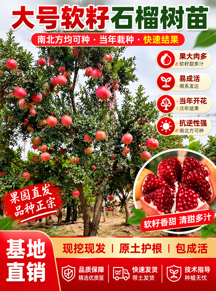 帮我做一张电商专用主图尺寸3比4，加点卖点词