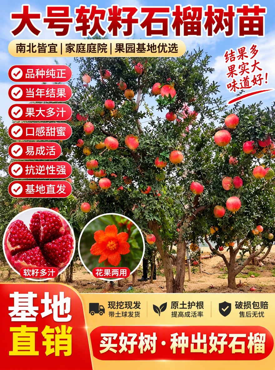 帮我做一张电商专用主图尺寸3比4，加点卖点词