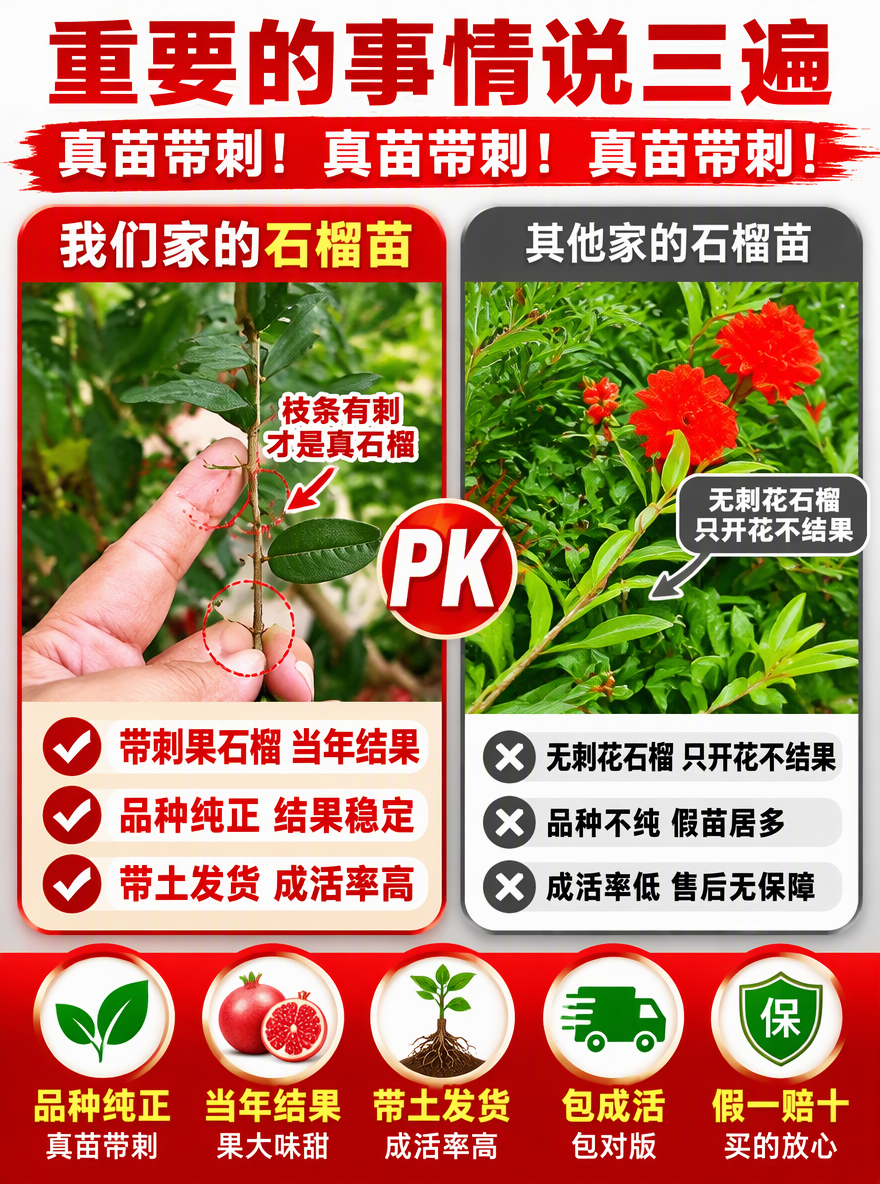 帮我做一张电商专用主图尺寸3比4，加点卖点词